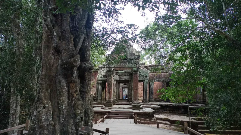 A sandstone gate framed by giant jungle trees on a private Angkor temple tour from Siem Reap